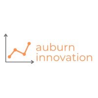 Auburn Innovation Ltd logo - Similar company to Cyber Spark Digital Solutions