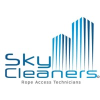 Skycleaners Gdl logo - Similar company to Nergic