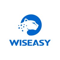 Wiseasy logo - Similar company to Codepay