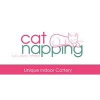 Cat Napping Suburban Retreat