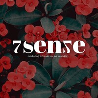 7Sense Marketing Y Publicidad