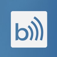 blenzik logo - Similar company to Single Bel