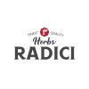 RADICI logo - Similar company to Fbk Group