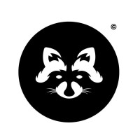 Raccoon Pictures GmbH logo - Similar company to Nurologic-Health Gmbh