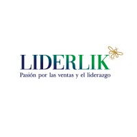 Liderlik Gt logo - Similar company to Media Company Gt