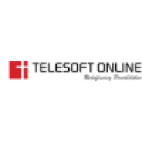 TeleSoft Online logo - Similar company to Vis Technoserve Pvt Ltd