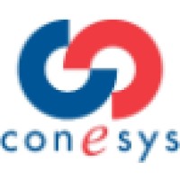 Conesys