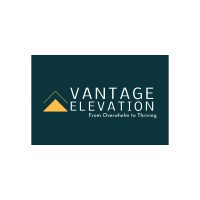 Vantage Elevation Counseling & Consulting logo - Similar company to Calibogue Capital, Llc