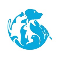 Clinica Veterinária Animal Doctor's logo - Similar company to Caoxonado Clinica Veterinaria 24 Horas