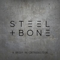 Steel + Bone Official logo - Similar company to Cmp Aljimm Engineering