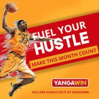 Yangawin logo - Similar company to Yangagames Technologies