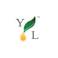Young Living Brasil logo - Similar company to Asakuki
