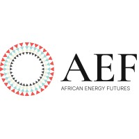 African Energy Futures logo - Similar company to Experience Princeton