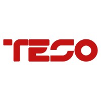 TESO l.l.c. logo - Similar company to Authn By Idee