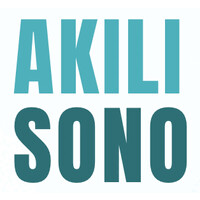 Akili Sono logo - Similar company to Whattle