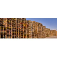 Pallet Terminal Ltd logo - Similar company to Geo Pallet Ltd.