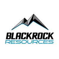 BlackRock Resources LLC logo - Similar company to Logic Solutions Group