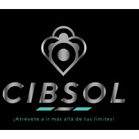CIBSOL, SRL logo - Similar company to Mercurio