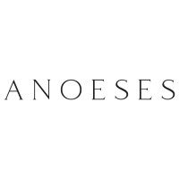 Anoeses logo - Similar company to Nightfallworld.Com