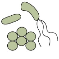 Humus logo - Similar company to Sleke.