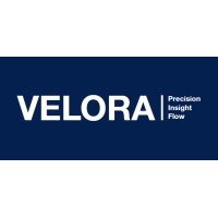 Velora ai logo - Similar company to Horizon17