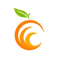 OrangePix logo - Similar company to Digital Innovation Hub Piemonte