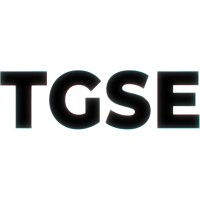 The Great Social Experiment logo - Similar company to International Free Expression Project