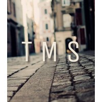 Grupo TMS logo - Similar company to Estudio Nacar Srl