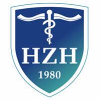 Shenzhen Hyzen Hospital logo - Similar company to Qsi International School Of Sarajevo
