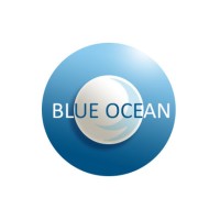 Blue Ocean Recruitment Group logo - Similar company to Bright Future Recruitment Ltd