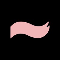 Señor logo - Similar company to Digital Eagle Mne