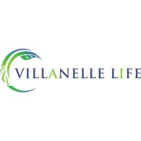 Villanelle Life logo - Similar company to Villanett