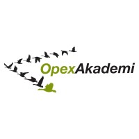 OpexAkademi Eğitim Danışmanlık Projelendirme logo - Similar company to E-Src Eğitim