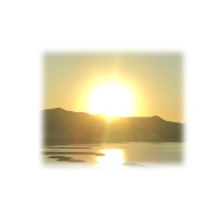 Freelance CFO BCN logo - Similar company to Exemplicon Fintech Pvt. Ltd.