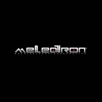 MELEATRON Srl logo