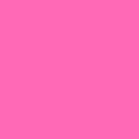 PINK SECURITY logo - Similar company to Pink Admin