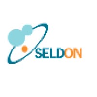 SELDON Consultores logo - Similar company to Lansys Infotech