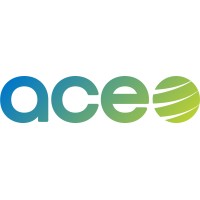 ACE srl logo - Similar company to Lsk-I