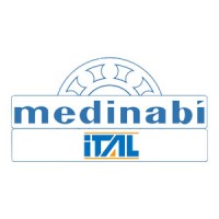 Medinabi Ital logo - Similar company to Automedia