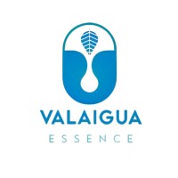 Valaigua Essence logo - Similar company to Sofati España