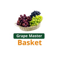 Grape Master - Basket logo - Similar company to Grape Master