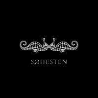Søhesten logo - Similar company to Tric Solutions