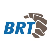 BRT Makina logo - Similar company to Demaş Makina