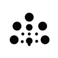 Datalumen logo - Similar company to Efiad
