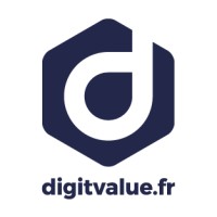 DigitValue logo - Similar company to Matawan Services Monaco