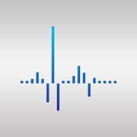 PULSE SRL logo - Similar company to Xstream-Labs