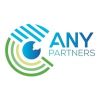 ANY Partners Audit logo - Similar company to Dfk Tr Bagimsiz Denetim A.S.