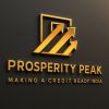 prosperity peak advisor private  limited logo - Similar company to Cevia Technology