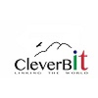 CleverBit logo - Similar company to Cleverbit Software