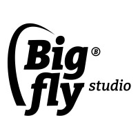 Bigfly studio logo - Similar company to Webber Interactief